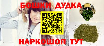 гашик Дубна