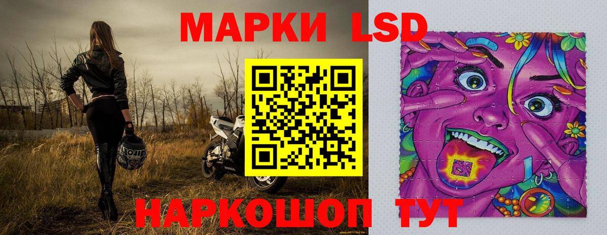 дарнет шоп  Сертолово  Наркотические марки 1,8мг 