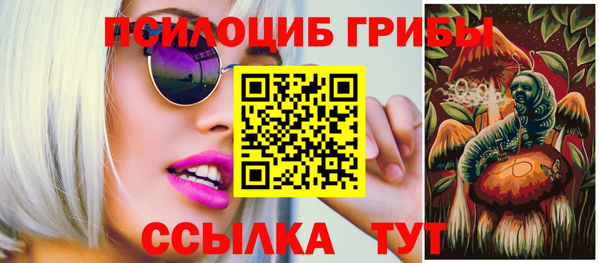 Галлюциногенные грибы Magic Shrooms  Сертолово  Псилоцибиновые грибы Magic Shrooms 