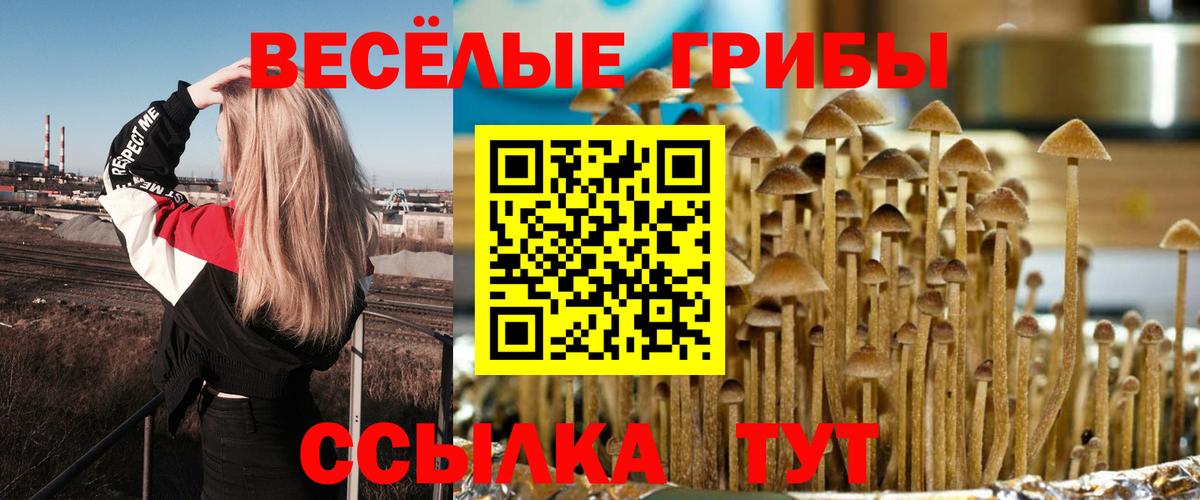 Галлюциногенные грибы MAGIC MUSHROOMS  Вход с VPN  где найти   Сертолово 