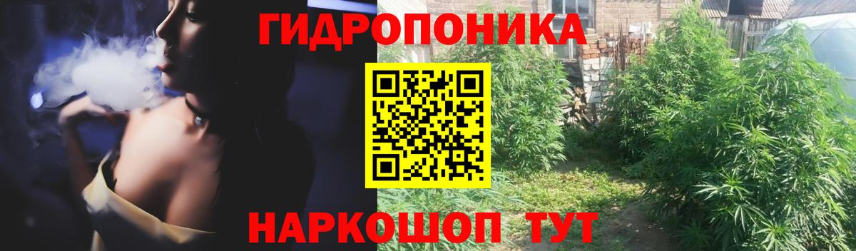 МАРИХУАНА Amnesia  Сертолово  Бошки марихуана Amnesia  Бошки Шишки THC 21% 